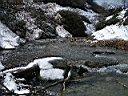 2007-04-05 024.JPG